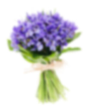 Bouquet Spring