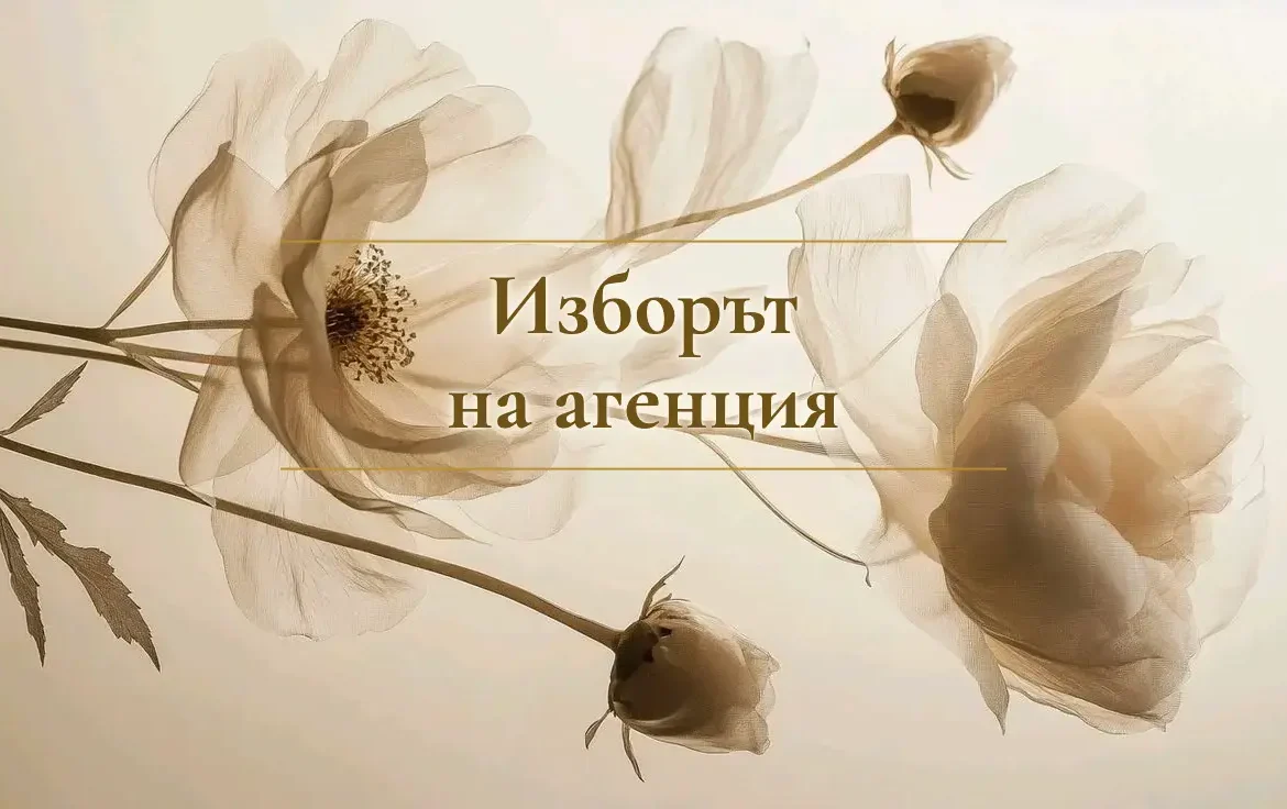 Изборът на агенция