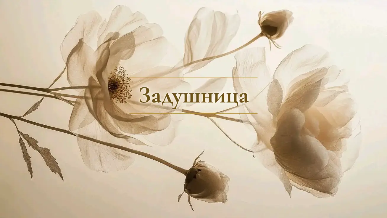 Задушница